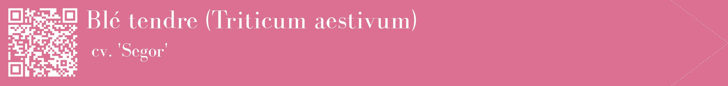 étiquette 2