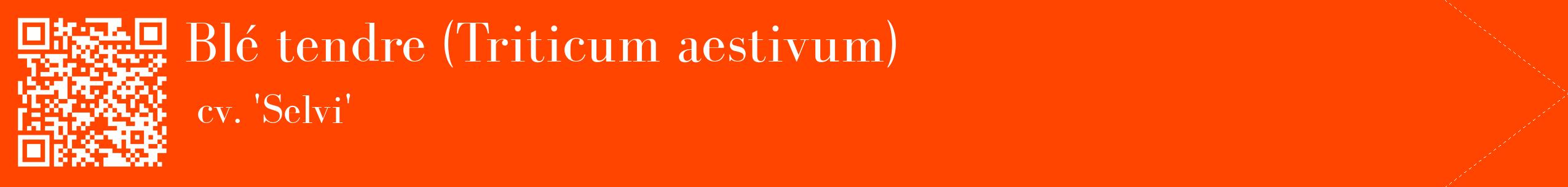 étiquette 2