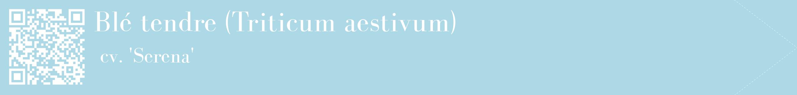 étiquette 2