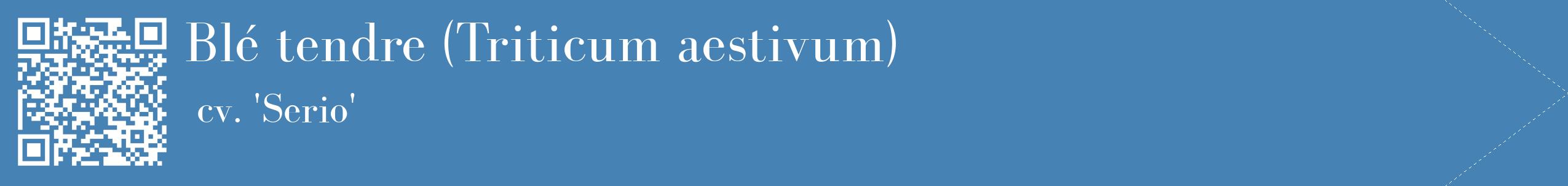 étiquette 2