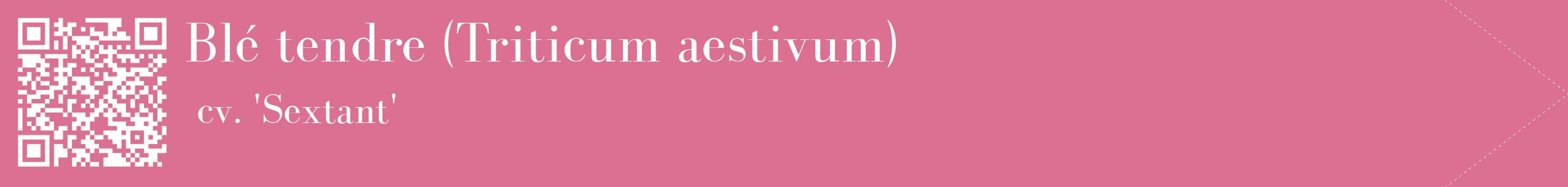 étiquette 2