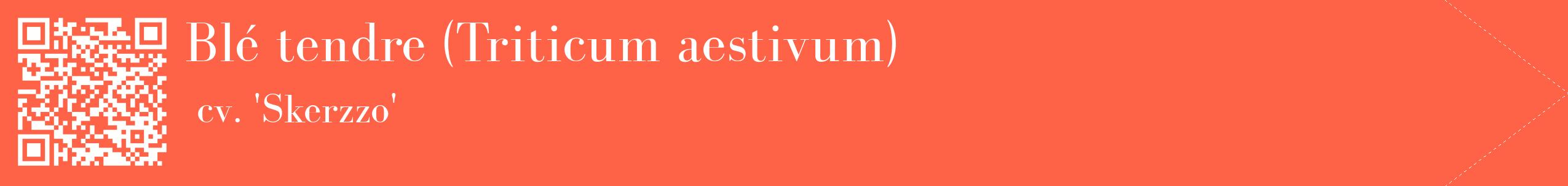 étiquette 2