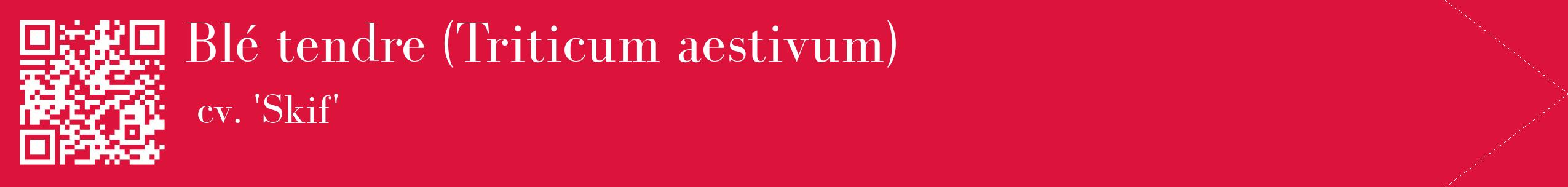 étiquette 2
