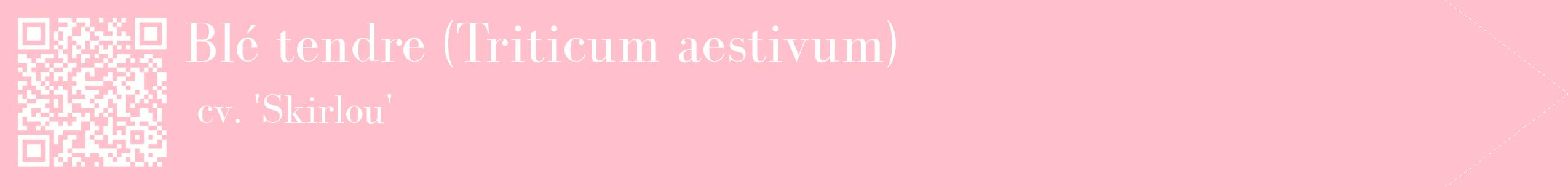 étiquette 2