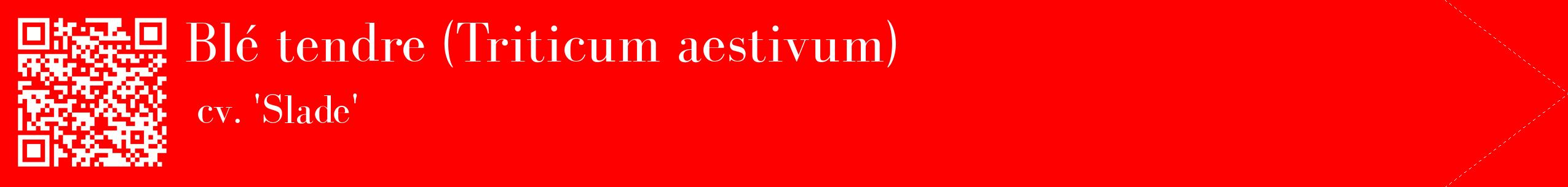 étiquette 2