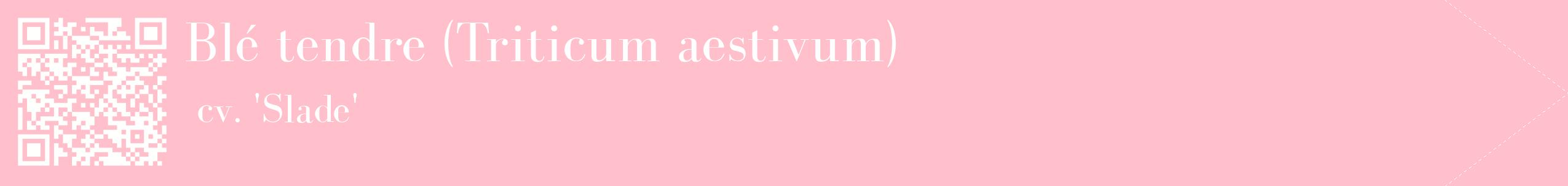 étiquette 2