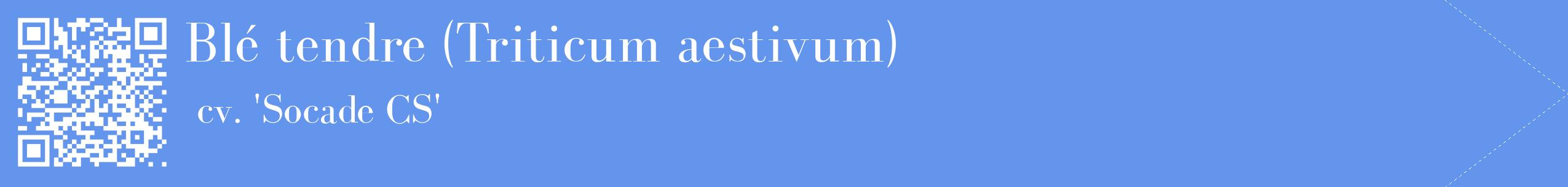 étiquette 2