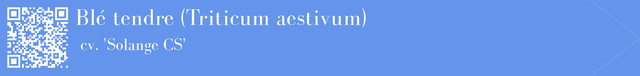 étiquette 2