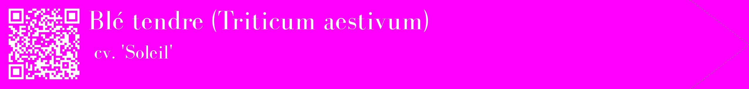 étiquette 2