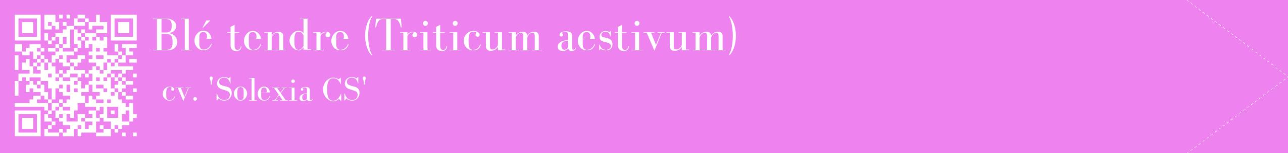 étiquette 2