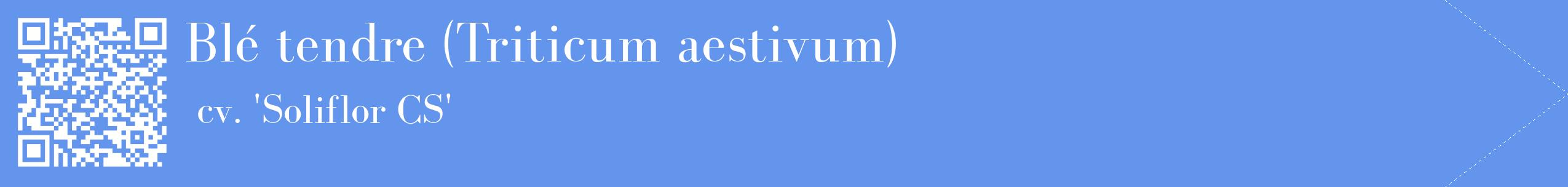 étiquette 2