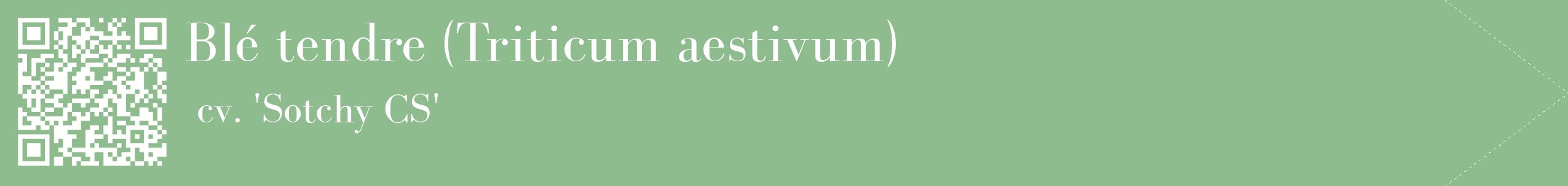 étiquette 2