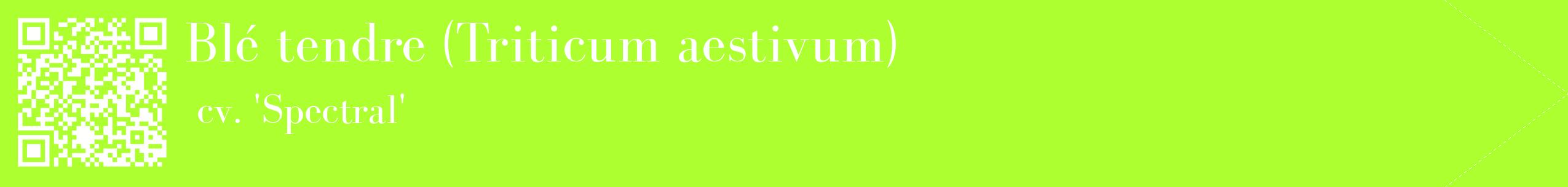 étiquette 2