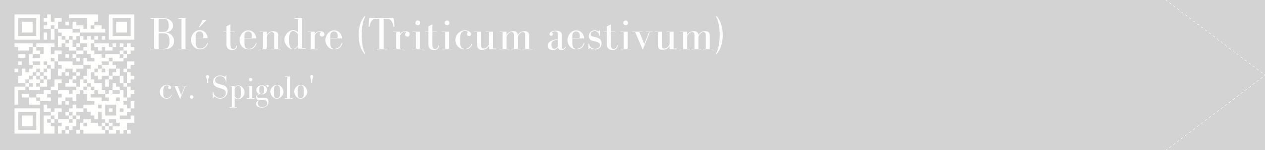 étiquette 2