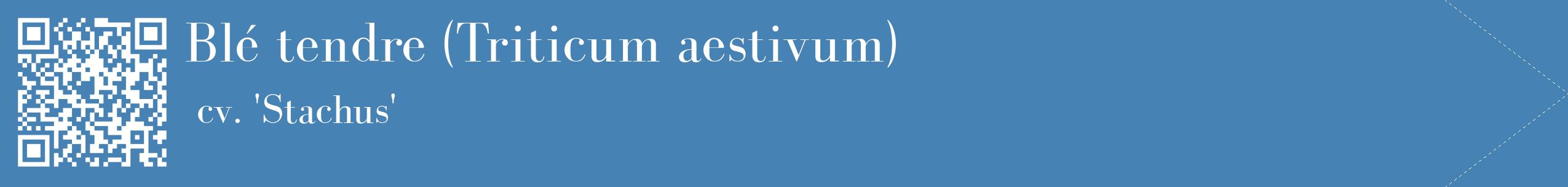 étiquette 2