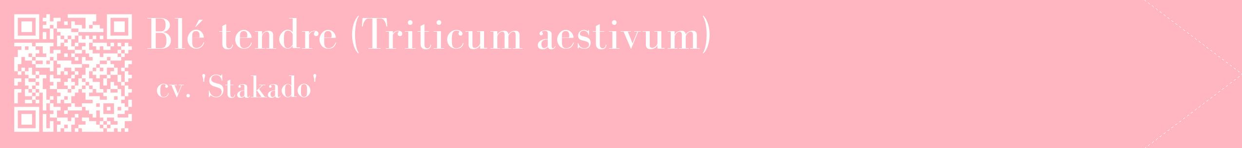 étiquette 2