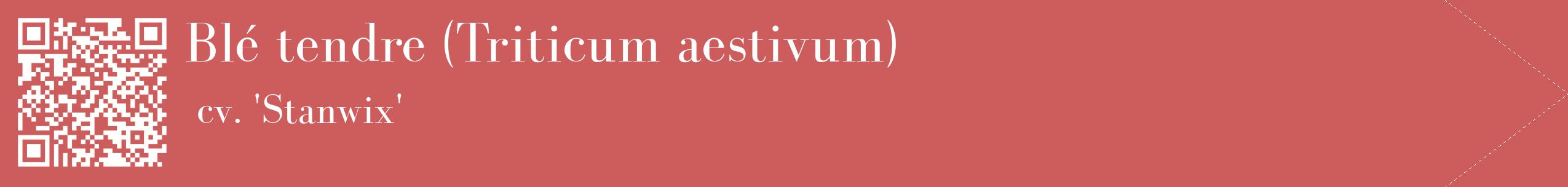 étiquette 2