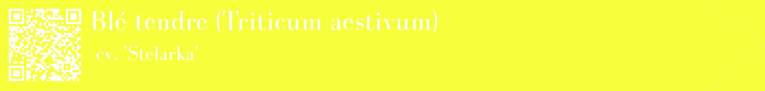 étiquette 2