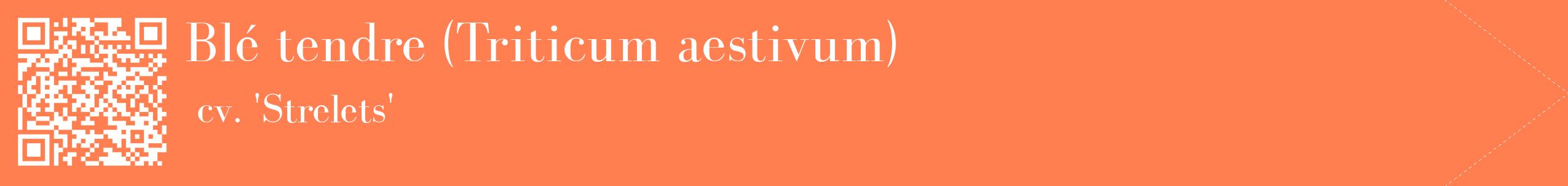 étiquette 2