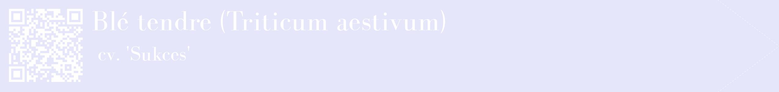 étiquette 2