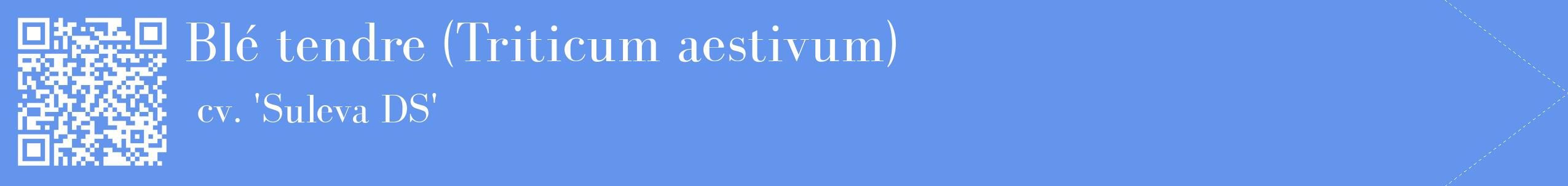 étiquette 2