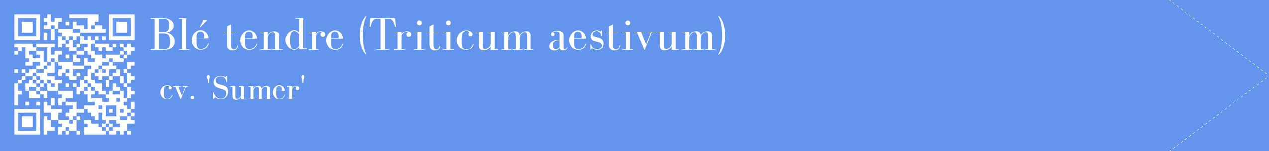 étiquette 2