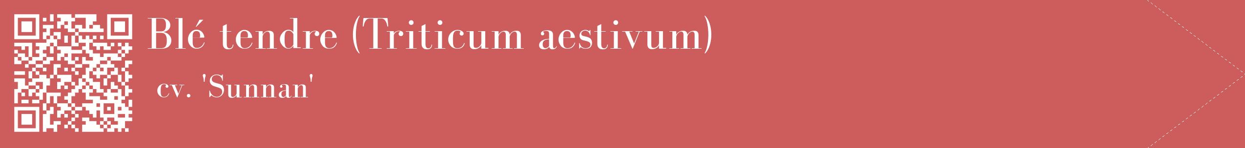 étiquette 2