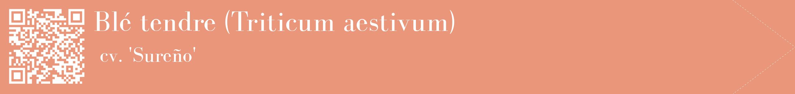 étiquette 2