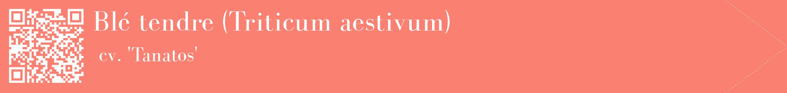 étiquette 2