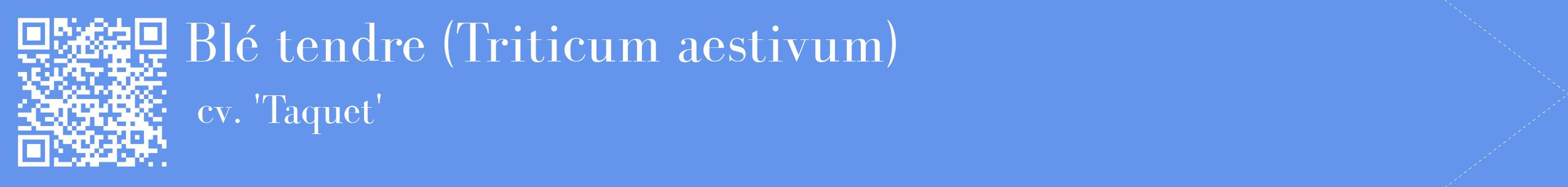 étiquette 2