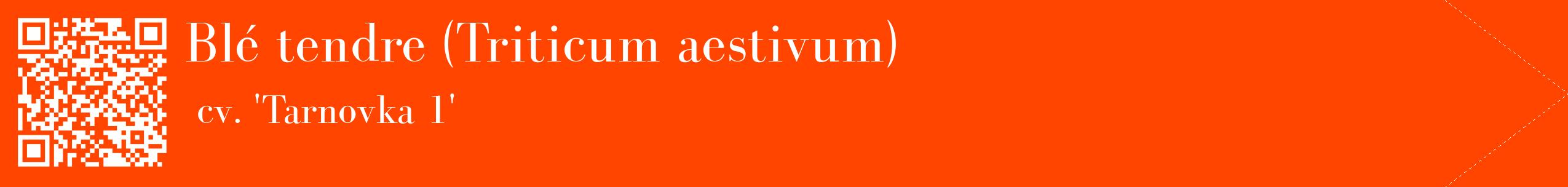 étiquette 2
