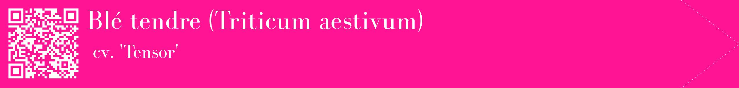étiquette 2