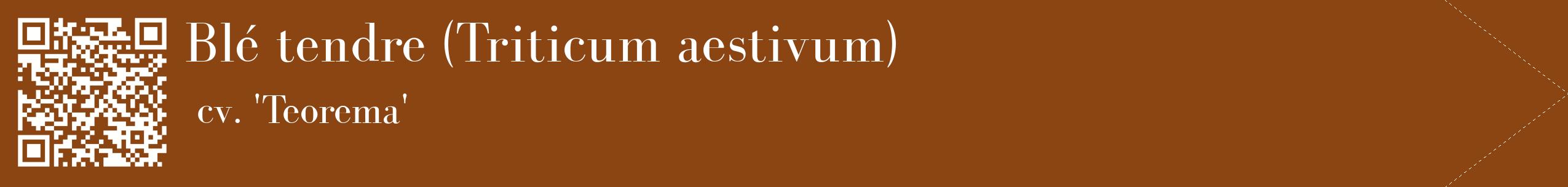 étiquette 2