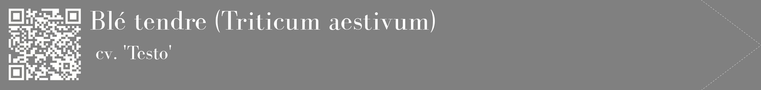 étiquette 2