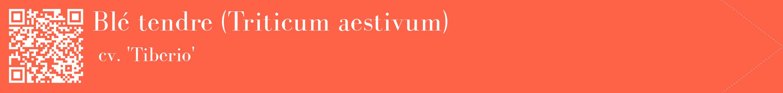 étiquette 2