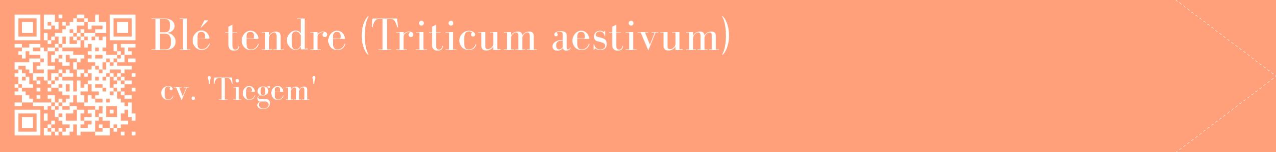 étiquette 2