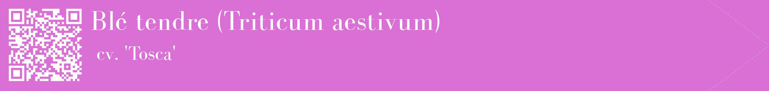 étiquette 2