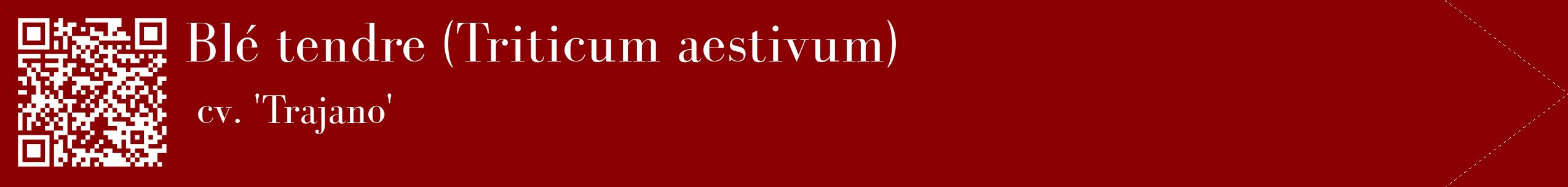 étiquette 2