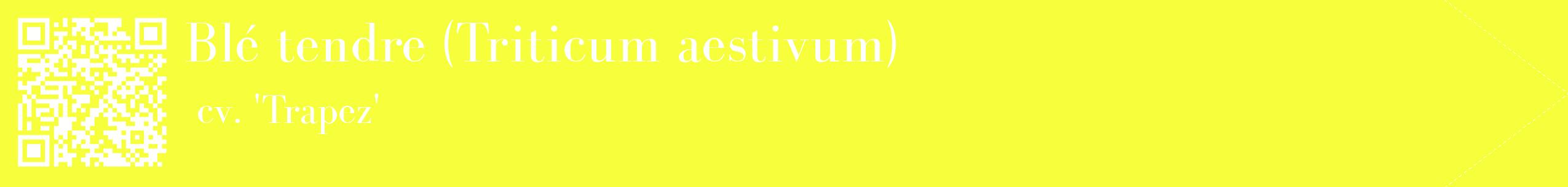 étiquette 2