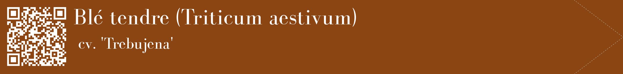 étiquette 2