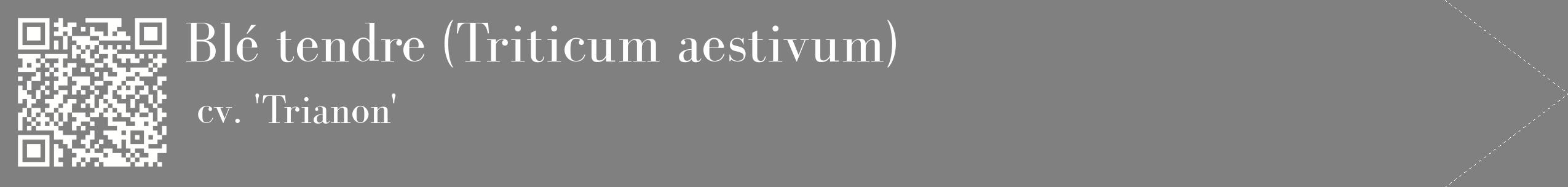 étiquette 2