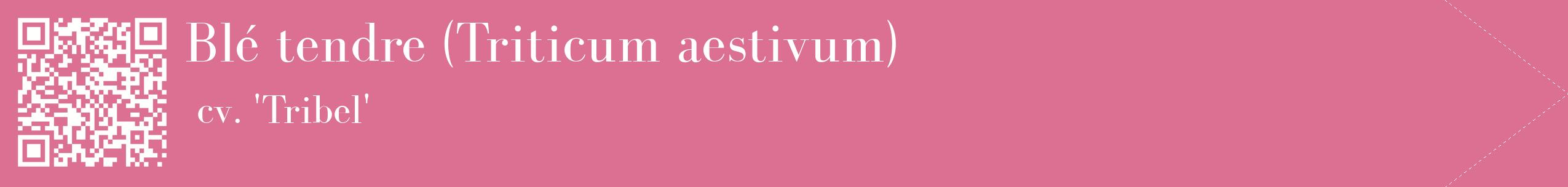 étiquette 2