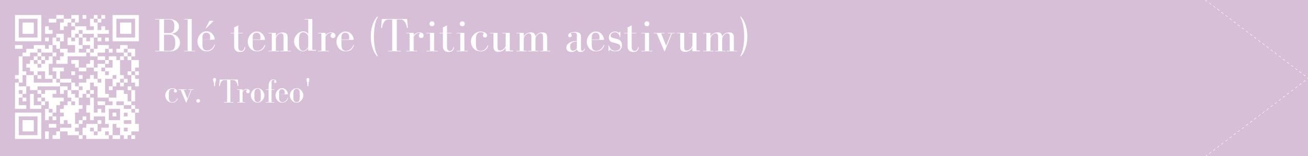 étiquette 2