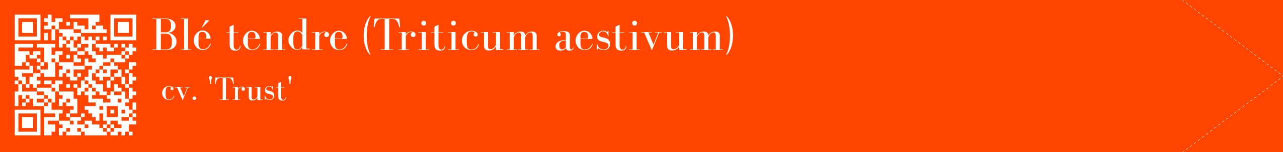 étiquette 2