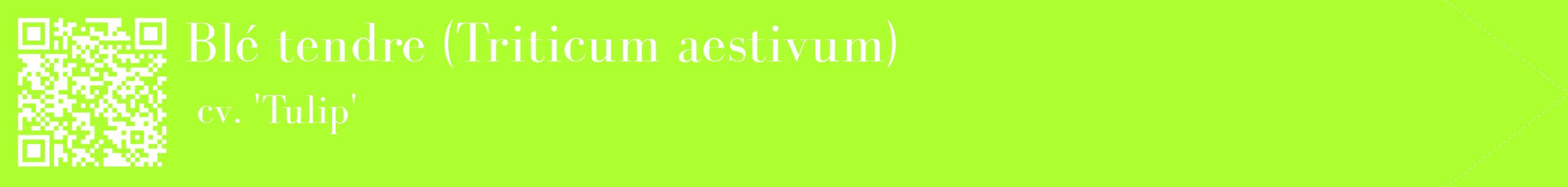 étiquette 2