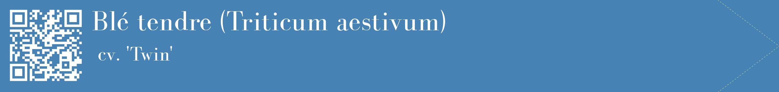 étiquette 2