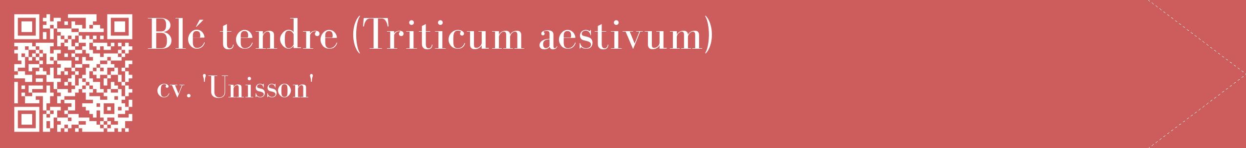 étiquette 2