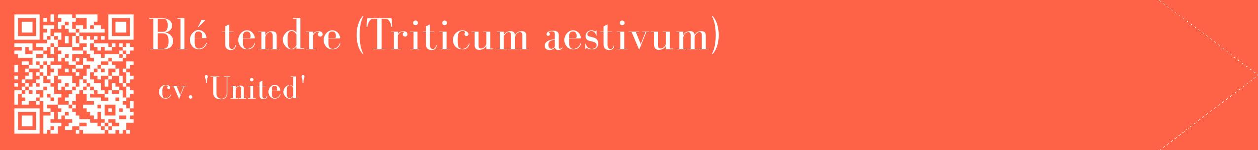 étiquette 2