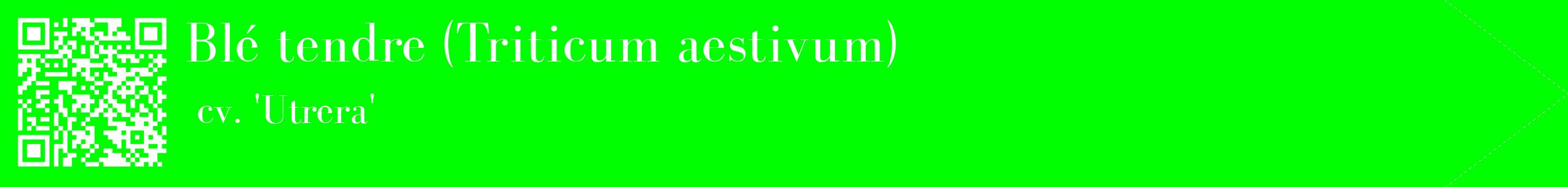 étiquette 2