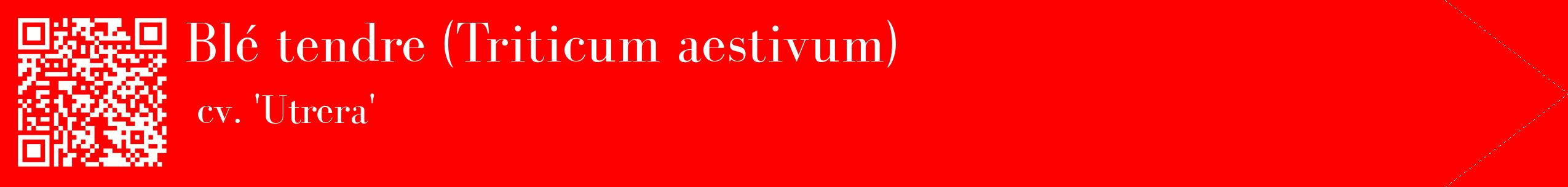 étiquette 2